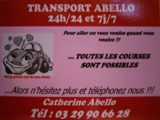 Pour tous vos service  domicile,Vos courses quotidiennes en magasin,pharmacie,etc...Pour tous vos transports aide aux courses en spermarch,coiffeur,cinma,SNCF,aroport,hospital,mdecin etc...Retour de soire discothque bien arrose,24h/24 et 7j/7 disponible n'hsitez pas  tlphonner au 03 29 90 66 28 ou au 06 82 50 00 38